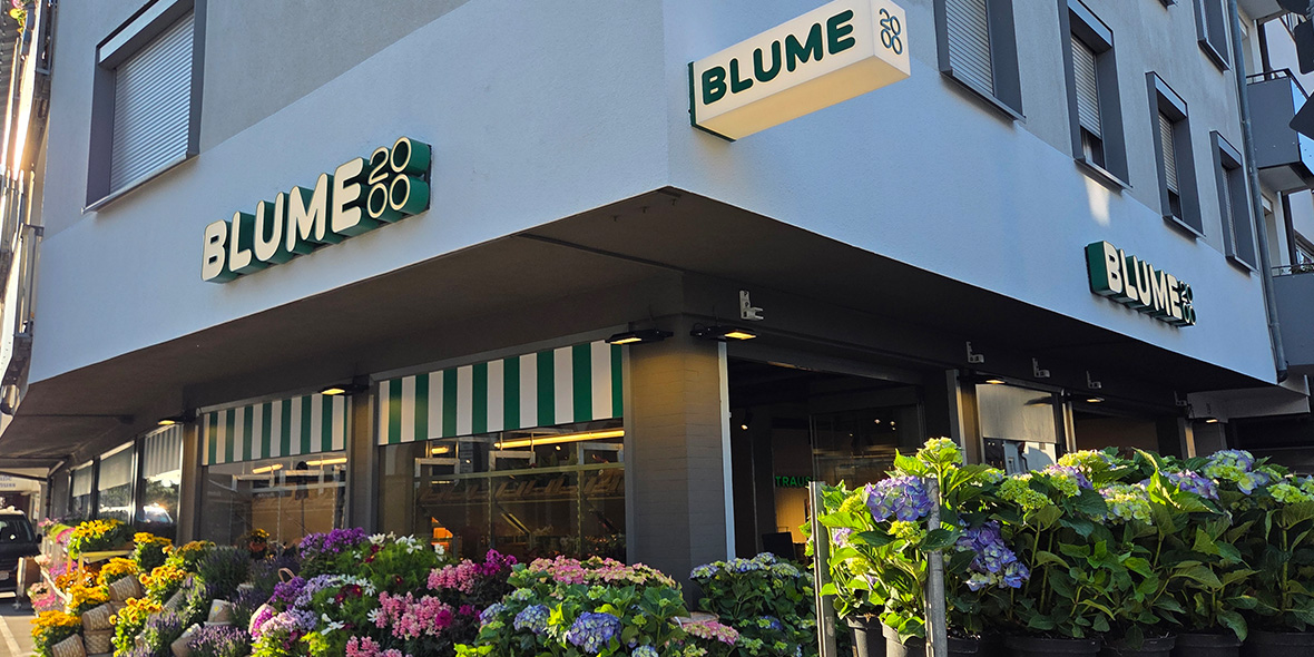 Store Umzug & Modernisierung